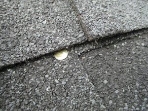 New roof, exposed nail